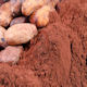 Cacao : La crise du cacao est-elle terminée ?