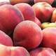 Fruits à noyaux Espagne : Pénurie généralisée de fruits attendue