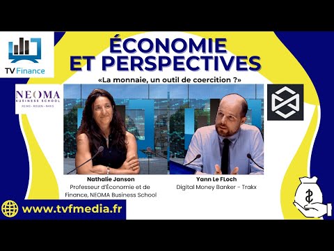 Yann Le Floch et Nathalie Janson : « La monnaie, un outil de coercition ? »