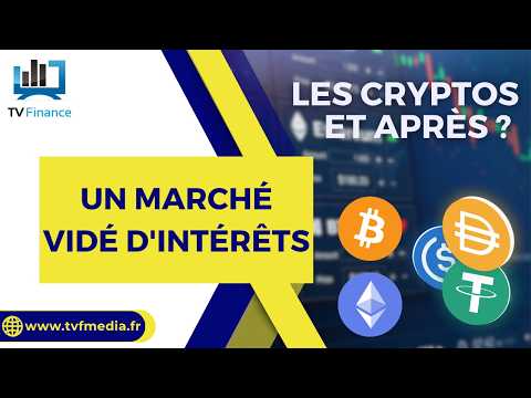 CRYPTOS : Un marché vidé d’intérêts | Mohamed Ghanay – Les cryptos, et après ?