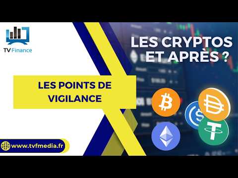 Les points de vigilence | Mohamed Ghanay – Les cryptos, et après ?